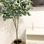 Apartment Sea And Escape